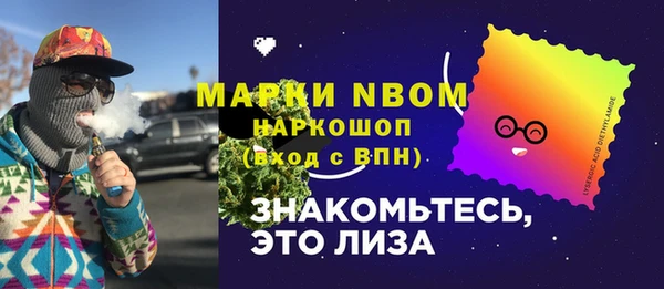 молекула духа Карпинск