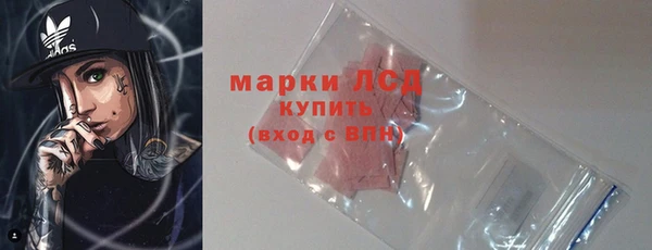 молекула духа Карпинск