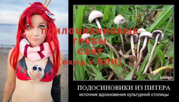 молекула духа Карпинск