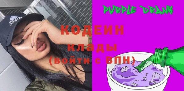молекула духа Карпинск