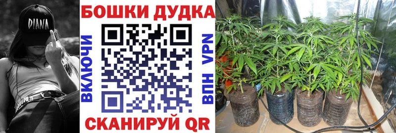 Бошки Шишки Ganja  Купить закладки  Боровск 